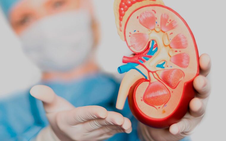 Urología